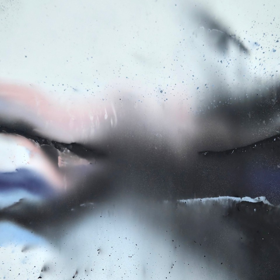 Disappearing Landscape / Without Us II